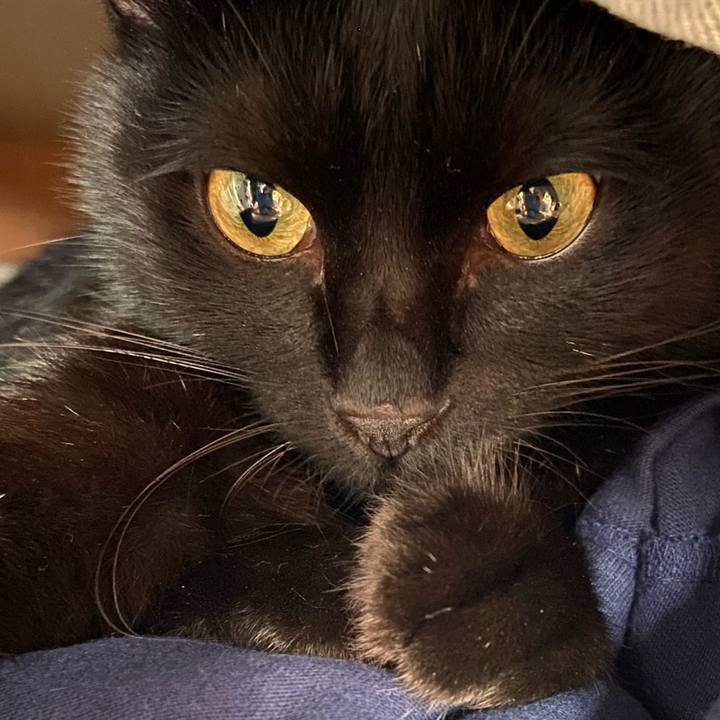 3ef8365e cac2 4166 adcf b660f7688c3a 1632658030668