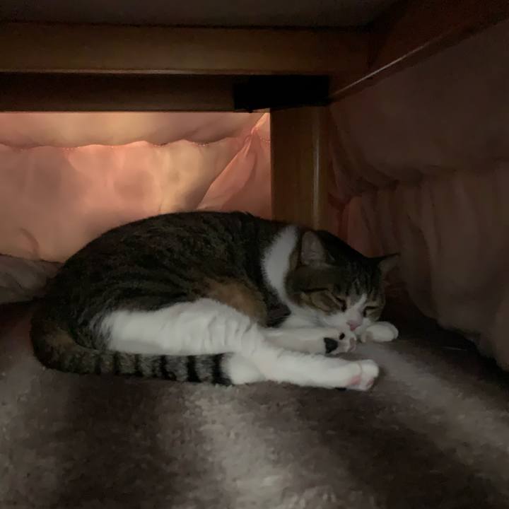 3ef88310 c41b 4667 8200 f6551997f54c 1638487292196