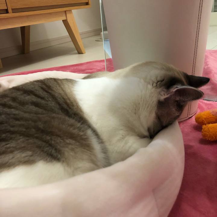 3ef88c0e df4d 4b2b 9482 1084374ecf99 1547899409764