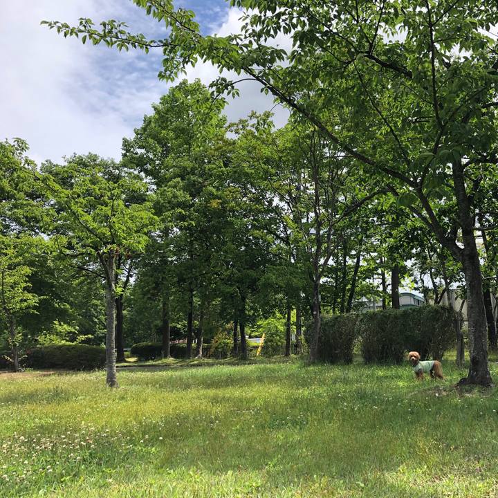 3ef89196 e7ef 4a05 b036 b222ab345147 1560815705723