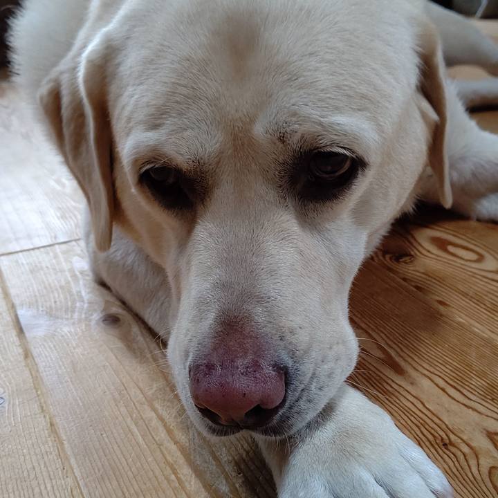 3ef8cc10 03ab 4a86 a592 52f62d1d34d8 1660281084943