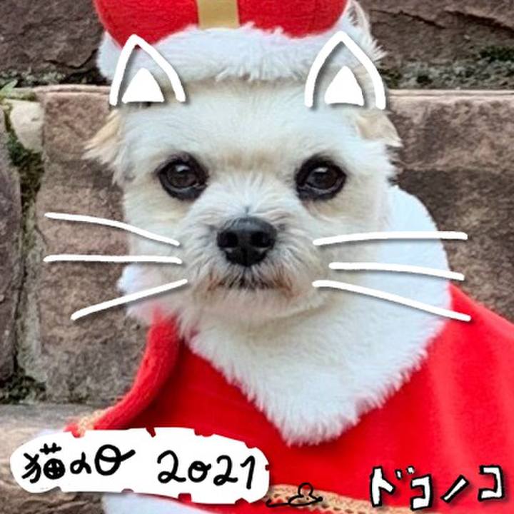 3ef8e9e6 289f 42a6 a494 792fcf372b96 1613977632173