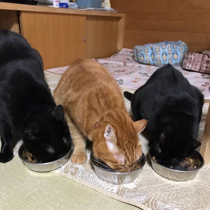 3ef9017e c3a5 45a5 99a2 61405d7e3541 1543622194304