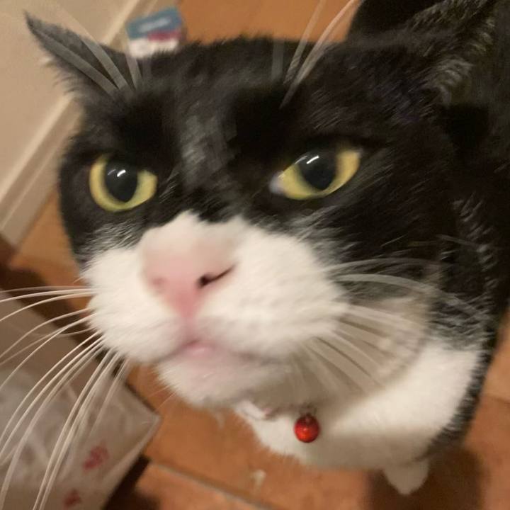 3ef94078 cb64 4c4e 93ea 6d0607157674 1659863359512