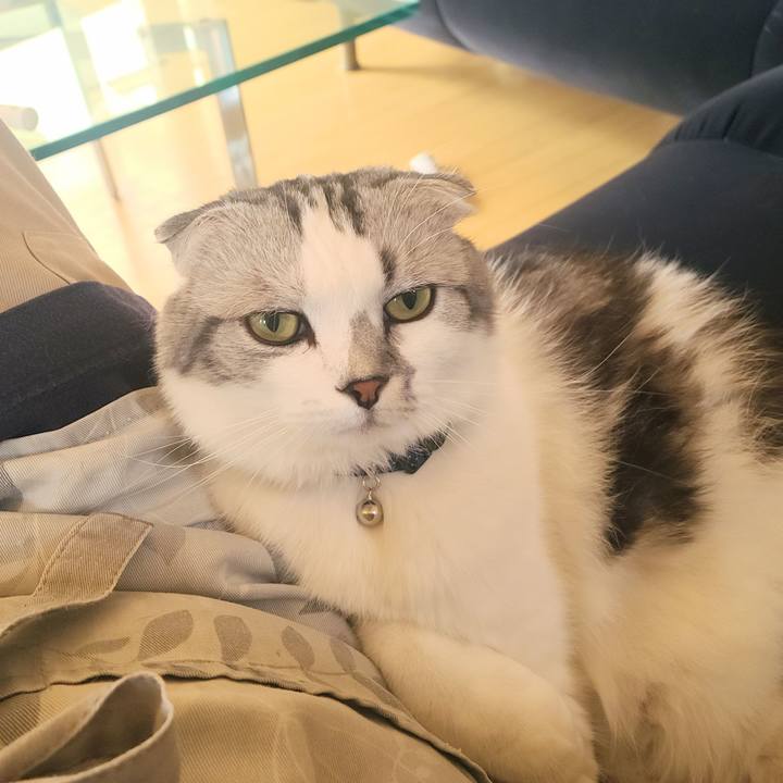 3ef9450d e8a6 404a b212 4f259c28ea74 1719819436161