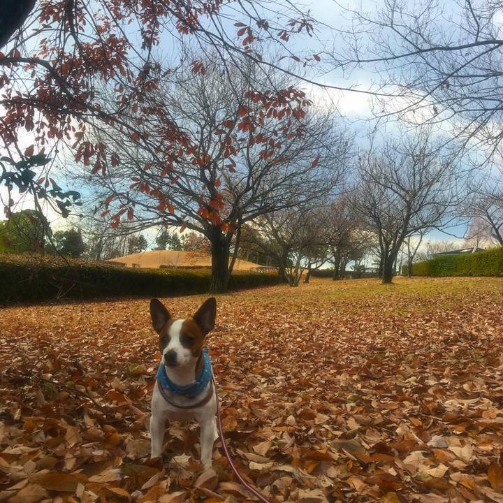 3ef97cf0 ccfe 4710 bfcb 6e3d65006c5d 1514206733778