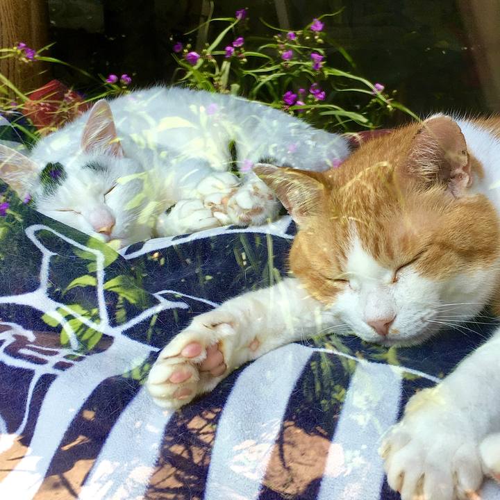 3ef98592 3098 41f0 b4cd 5701bafae8ed 1591255731813