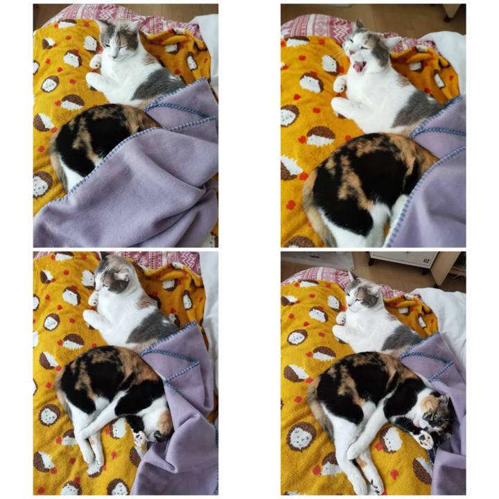 3ef98fc5 b8b1 40f4 95d9 e74449cb4d91 1671779922115