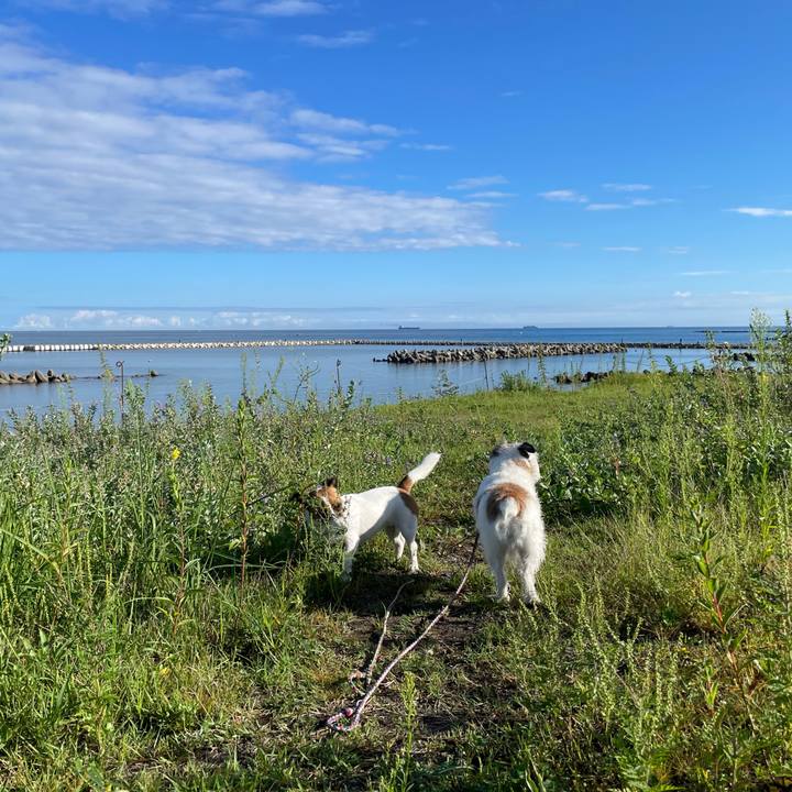 3ef9d3af a2dc 4e82 bb6d 09b3f80aaac3 1662248448922