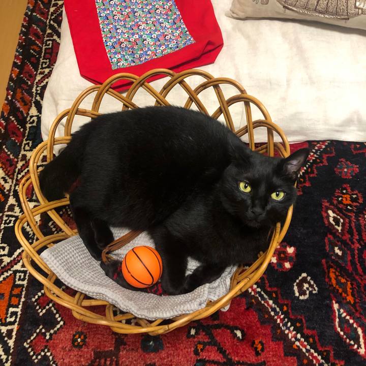 3efa1f14 d57d 4105 aae0 e1e4ad2c46f0 1594117923733