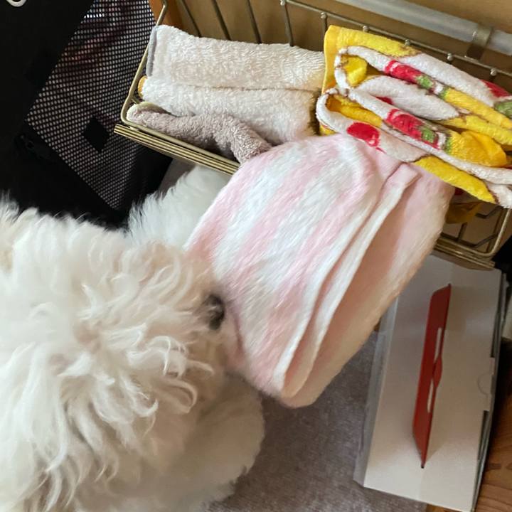 3efa433e 0522 411a b8f7 7fe9af38c421 1745368138084