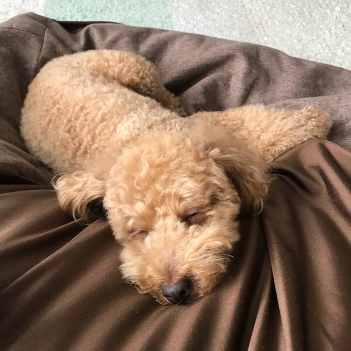 3efa51b0 ec8e 4ece 929a e3a8a2ea96ef 1526707954297