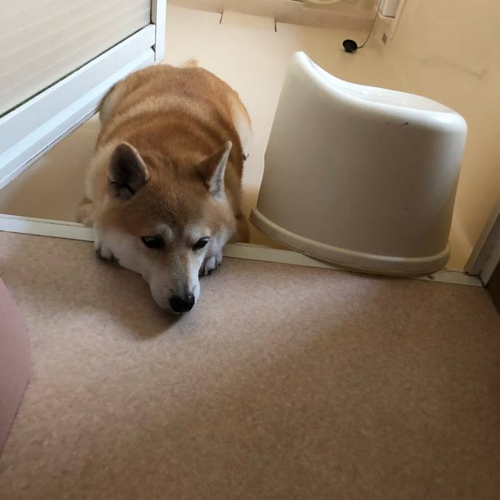 3efa5708 2e39 46d0 86d3 6de753f75a76 1564495054438