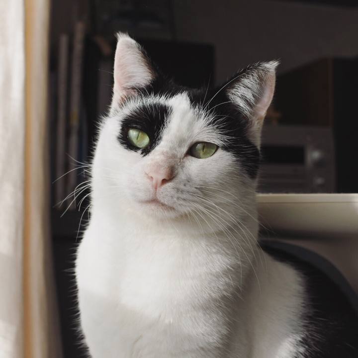 3efa5ae0 54ca 45dc 8807 1c4a2784c75a 1546951398661