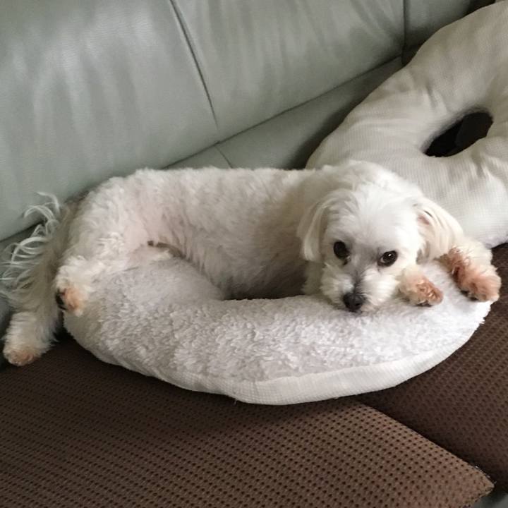 3efa9d63 f7a0 44f1 9e78 218580fe62b8 1592480810365