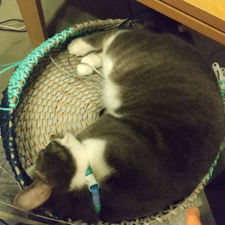 3efabcff eb30 414d 96c9 1e7e6939f1d2 1624366745053