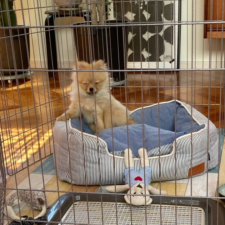 3efad9e7 5f23 4eea 97db 9bd65e3dff5d 1641263861800