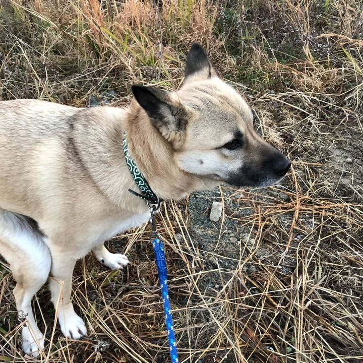 3efb0d56 9c68 435d b82a 583db2086d6c 1548161303028