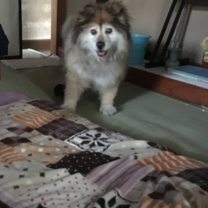 3efb0f36 0be0 4a80 b89b 2634f0ad05ab 1624768422904