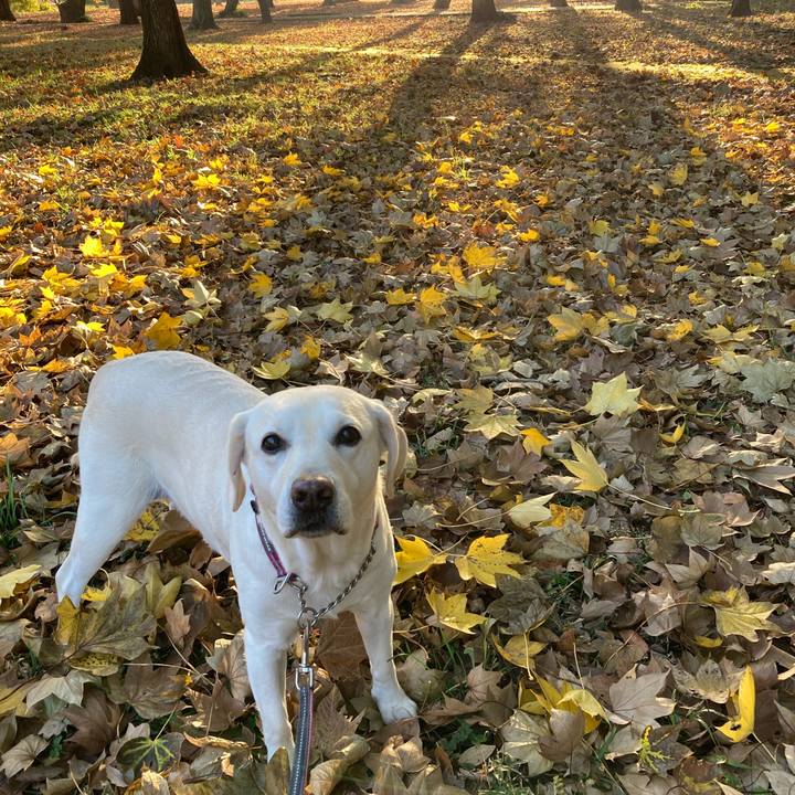 3efb1b8b e2c1 48dc 98a9 77d7262dece9 1703291211548