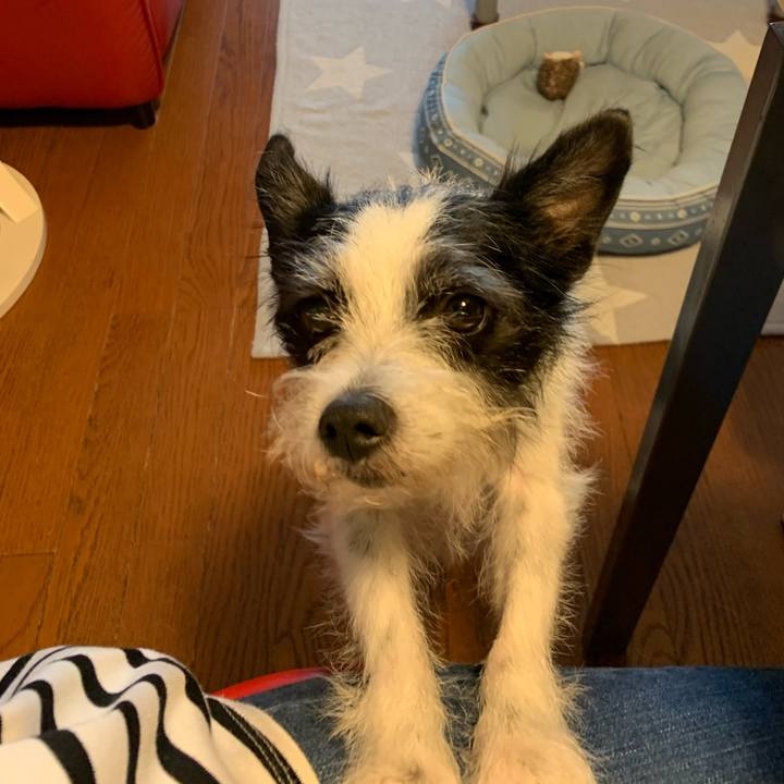 3efb925f 17c5 4fbe 9564 26065464fe71 1630892524089