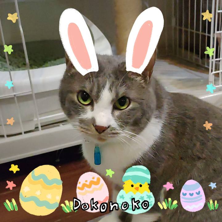 3efb973d 74e0 43c0 bbce 9ec48904b814 1712322979598