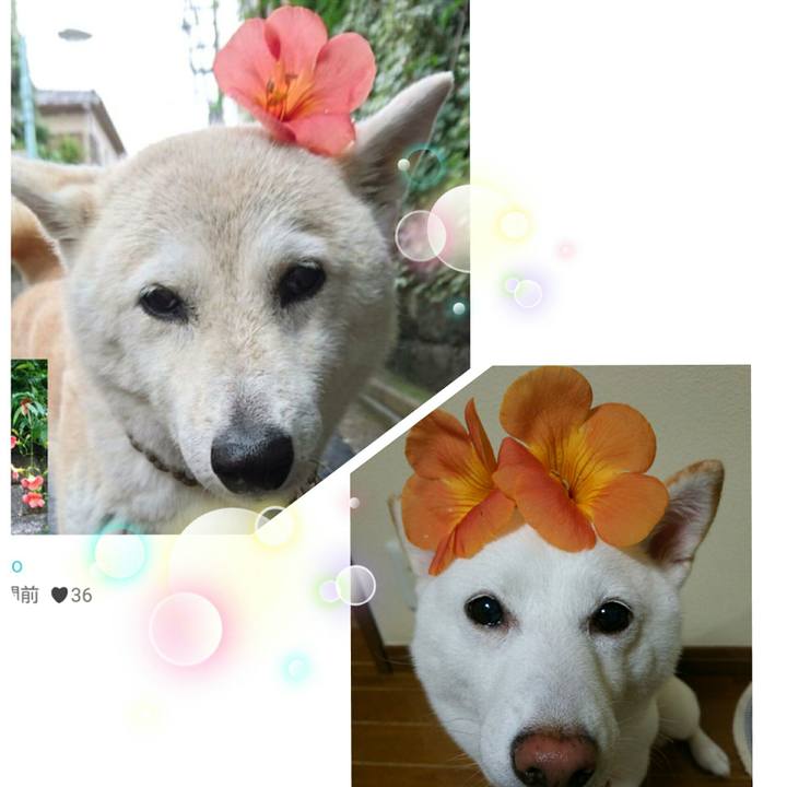 3efbfab1 25ef 4bbf b976 b05ba8f7a7b2 1563543959315