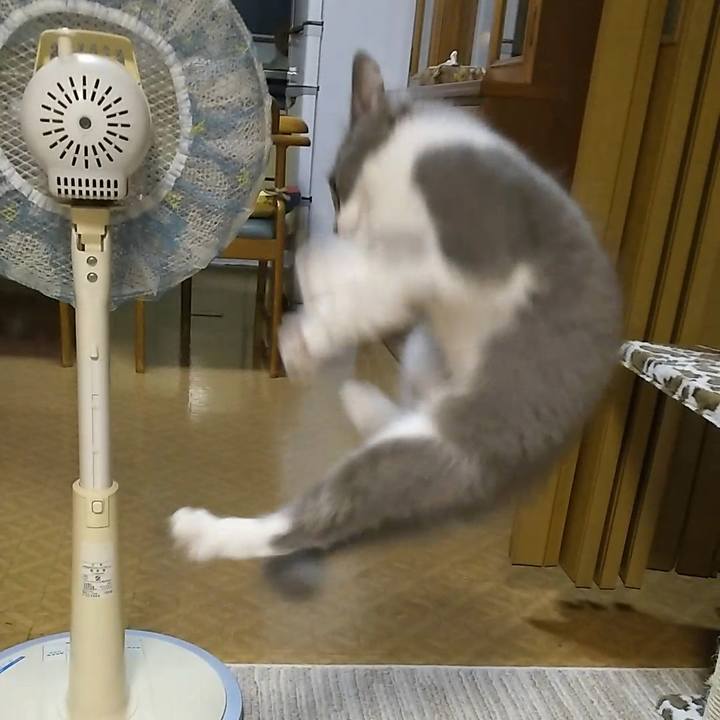 3efbfbc8 fe56 435c 984a 4d87858fc1d7 1565346020823