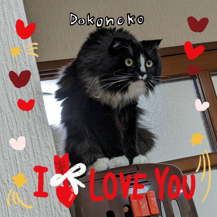 3efc50a5 5aba 47df 8e9d 610a84dac6f8 1707183504411