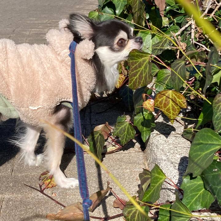 3efc65e9 b00e 4ec6 bd07 be01f0e1b484 1707720980510