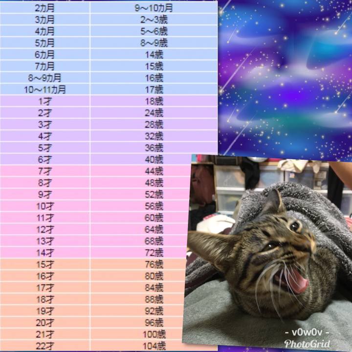 3efc7b57 c7a8 4dcf 985d bf1d6e742ce8 1549236848223