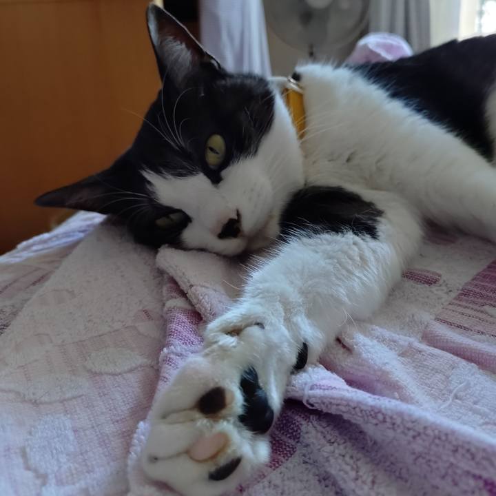 3efcc0a0 d3b1 48a3 b86a 3c1f4c48b009 1750425429556