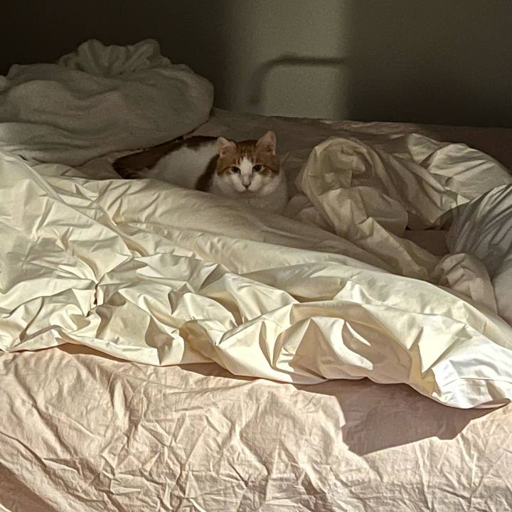 3efcfef4 cc8c 4acb bbb7 d5da27182549 1760609992109