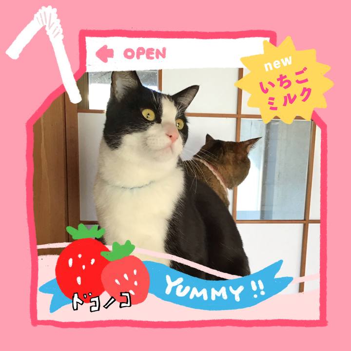 3efd1578 5270 47a9 98f6 053b44a3ce72 1711063789555