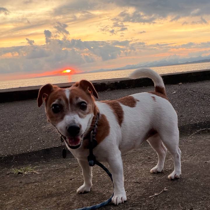 3efd27ae 5072 4fd9 a3d1 f50ebf860e00 1772613000361