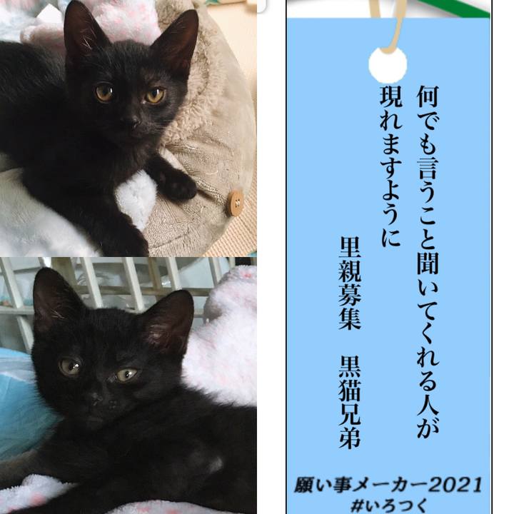 3efd7052 f6ed 494d ad07 2c27d837488c 1625645958381