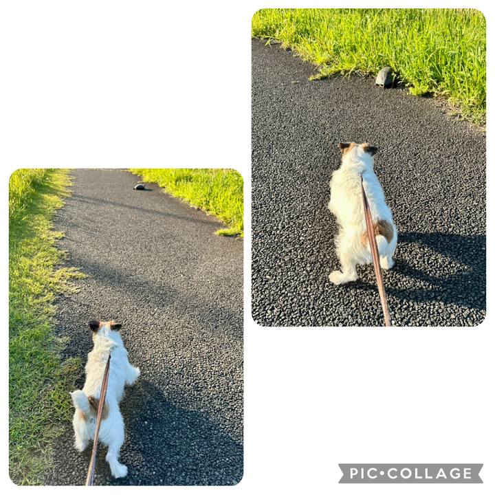 3efd86fa acff 4eaa a9a5 463846d6f25f 1746716908851