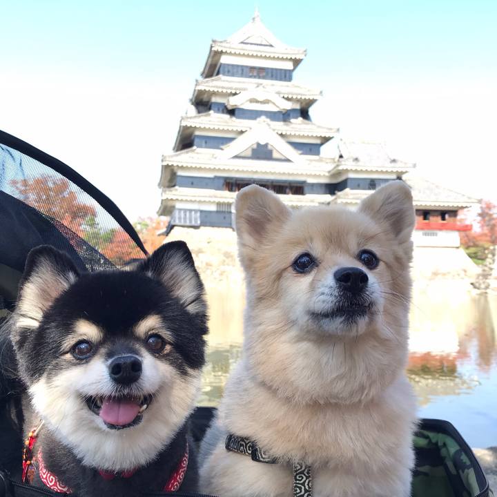 3efda8dd 7de5 4608 9f8c 88aba54eb3df 1606707248371