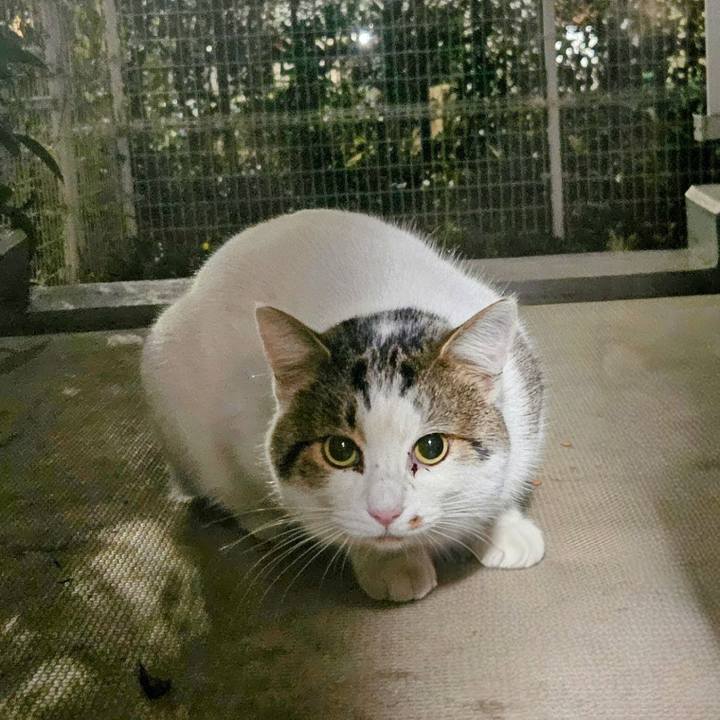 3efdb01b 3260 452f a026 9e65545fa2b0 1734356160832