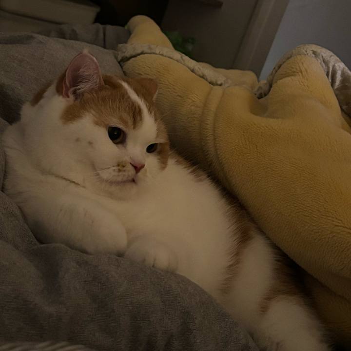 3efdce1d 74b6 42ae a80a f04520ee4526 1740662751968