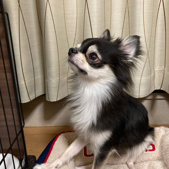 3efde696 f8c5 40f1 a2ab 003e206887c6 1635082935526