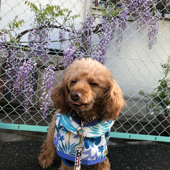 3efe2bad 3c89 43b2 bdf6 eaf8b7984918 1617749649400