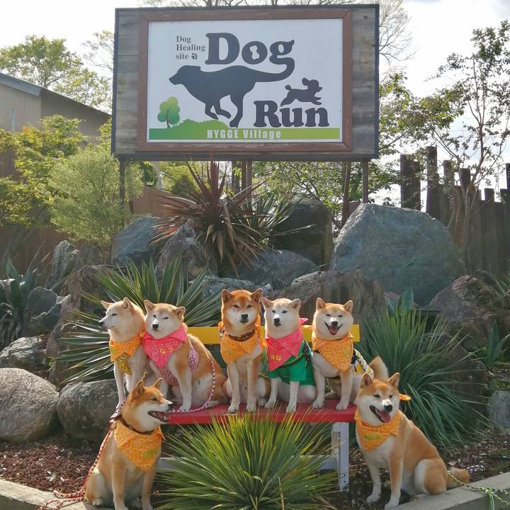 3efe4a04 5752 43de 8847 2f4067a800fb 1650110364184