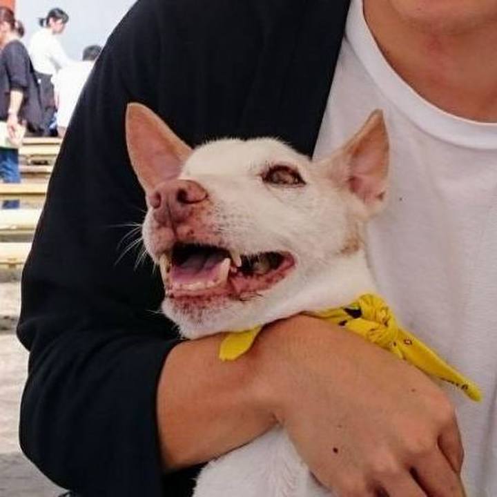 3efe7692 3ede 4df3 9327 aeb55d0eb3df 1663919710575