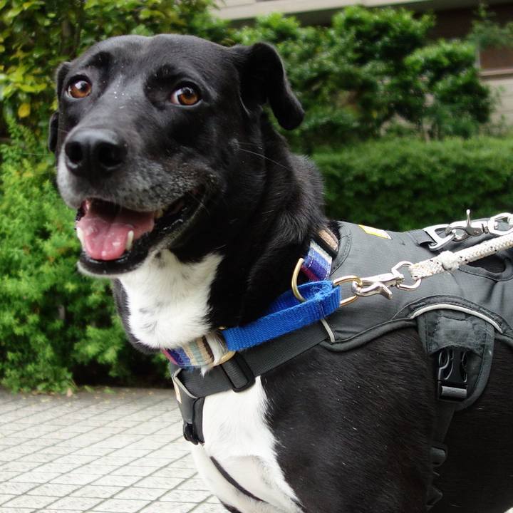 3efed3c8 0f80 4aae 87f2 c5b614975ea6 1652575349458