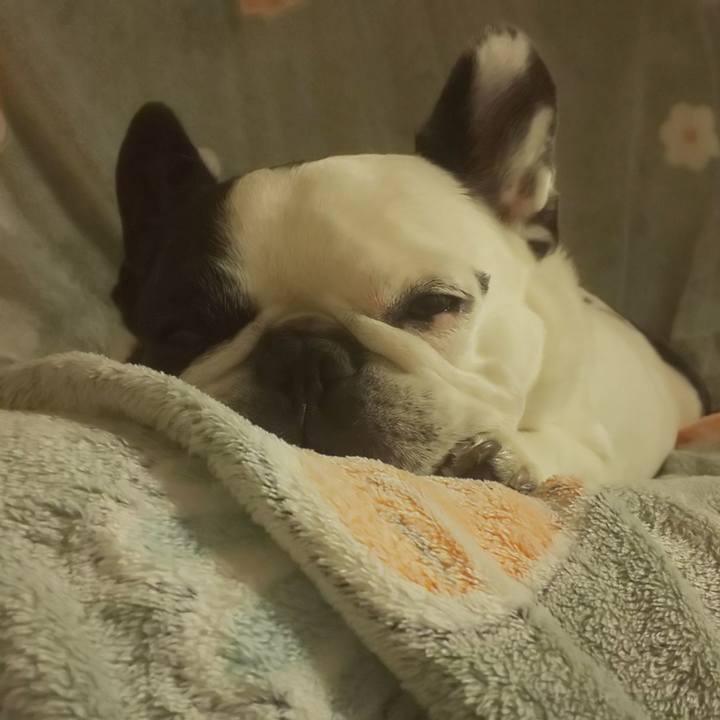 3efef0e2 19f3 469a 8b53 804d0515e50f 1664580340737