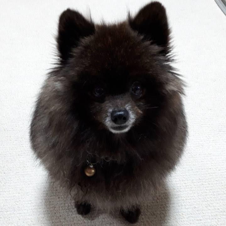 3efefe86 cf17 4456 8ac9 88d6b05de2bb 1520712938026