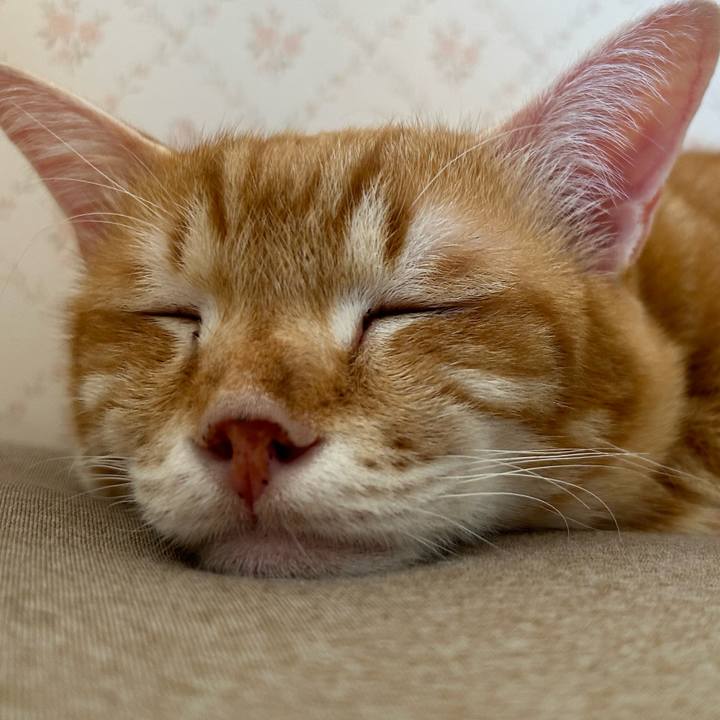 3eff0c58 aafd 4595 9487 a8f3dcfe297f 1676161150770