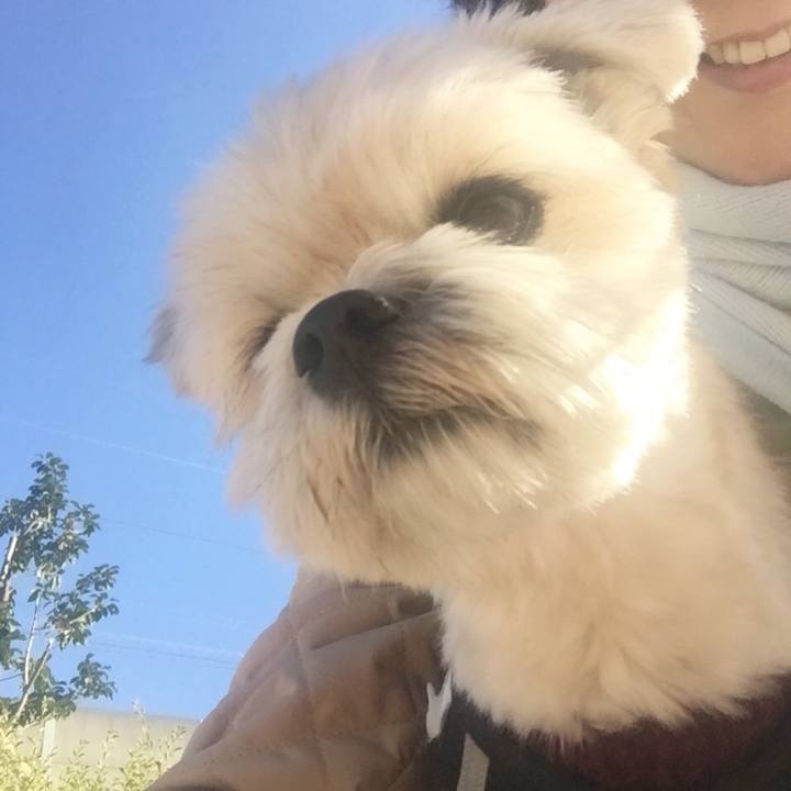 3eff3241 7b31 4bcf 976d 278af7be9f3a 1512913782735