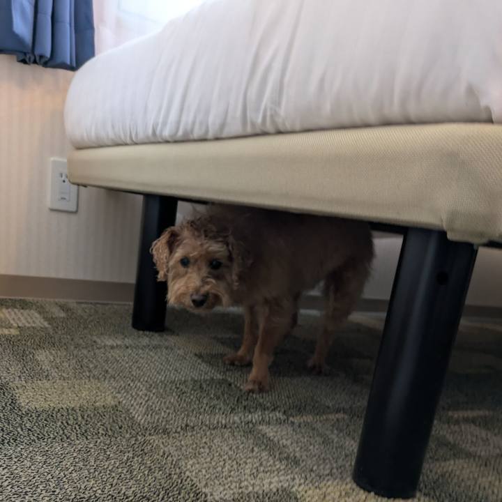 3eff5d4e 43e0 4287 9836 2017d3731687 1746950122401